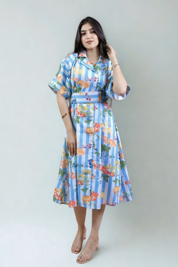 Blue garden stripe dress