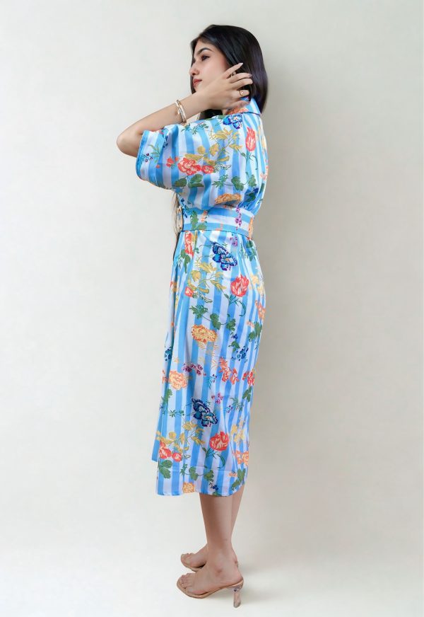 Blue garden stripe dress